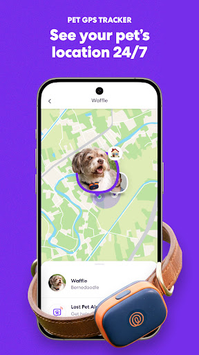 Life360: Байланыстағы және қауіпсіз болыңыз